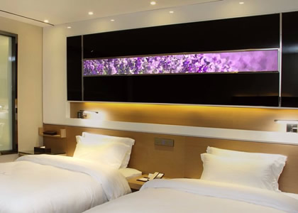 What trends in the future LED industry deserve attention?