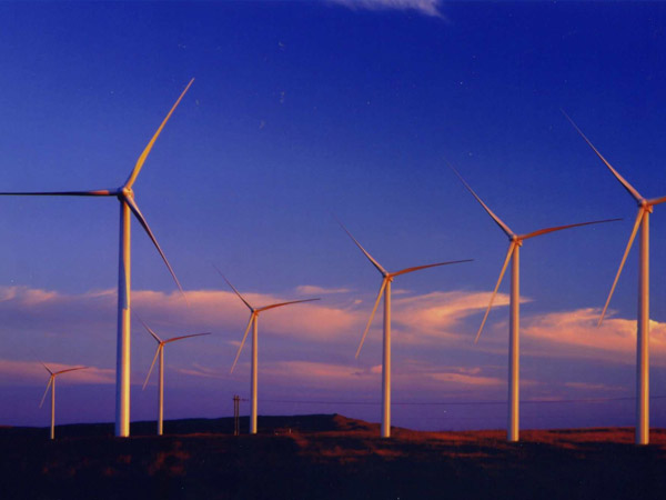 Einführung der dreidimensionalen Disc-Verpackungsmaschine