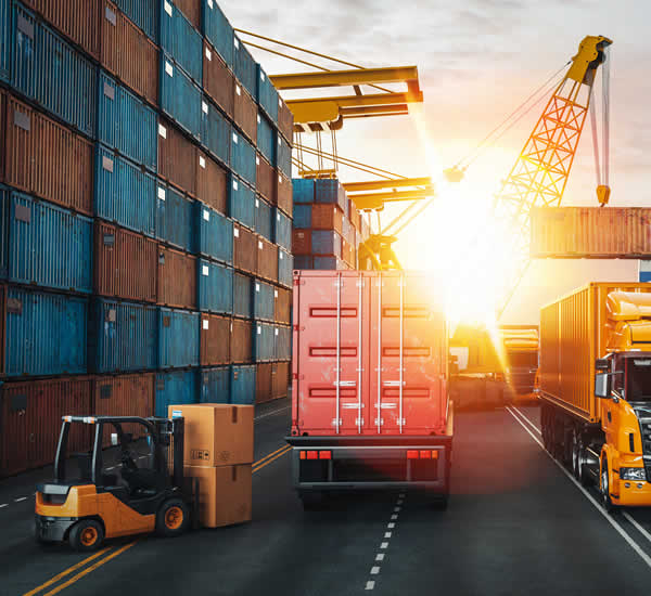 冷链物流强产业 水果“链”接国内外