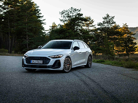 Qualität an erster Stelle, um ein erstklassiger Lieferant von inländischen Autoteilen zu sein