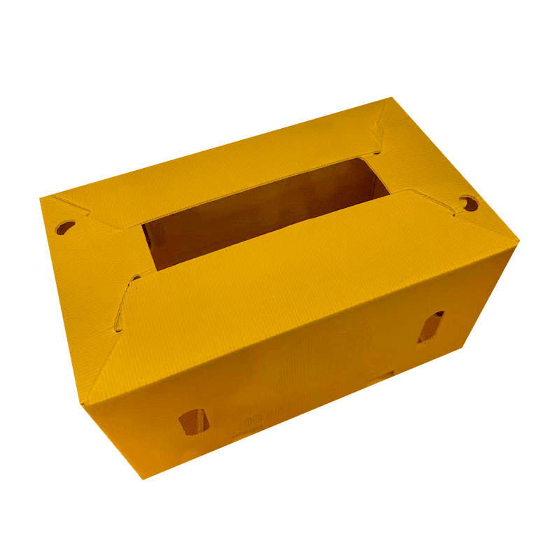 Custom PP Plastic Turnover Boxes – Recyclable & ISO9001 Certified