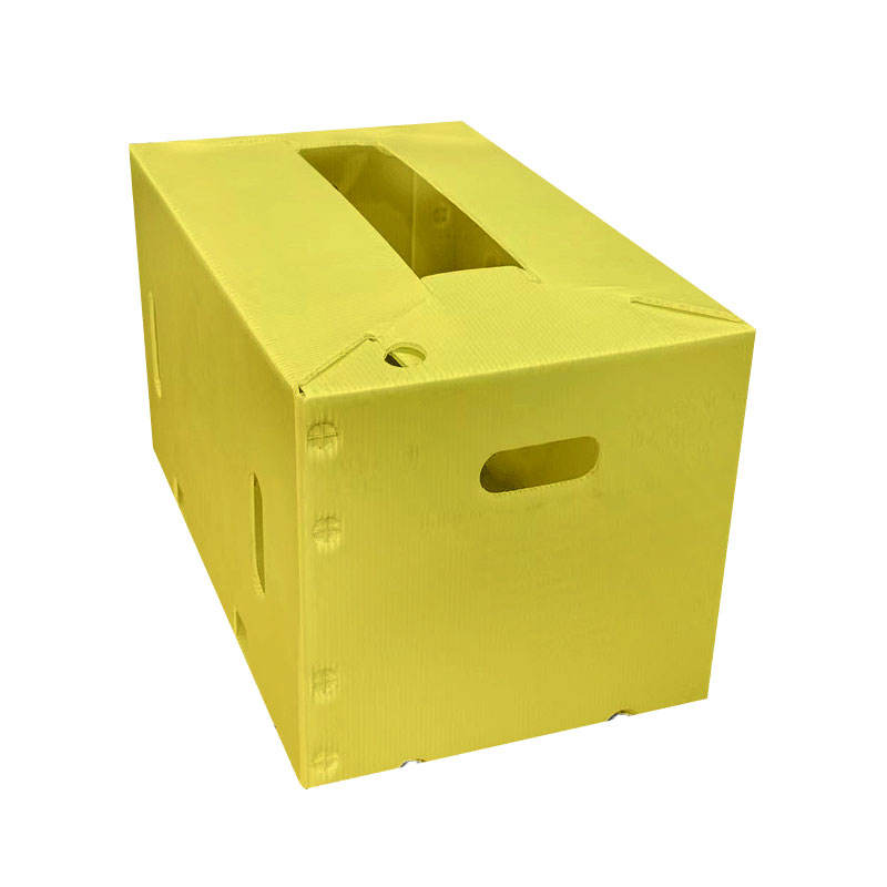 Custom PP Corrugated Folding Bin for Fruit & Vegetable Transport – Waterproof & Durable