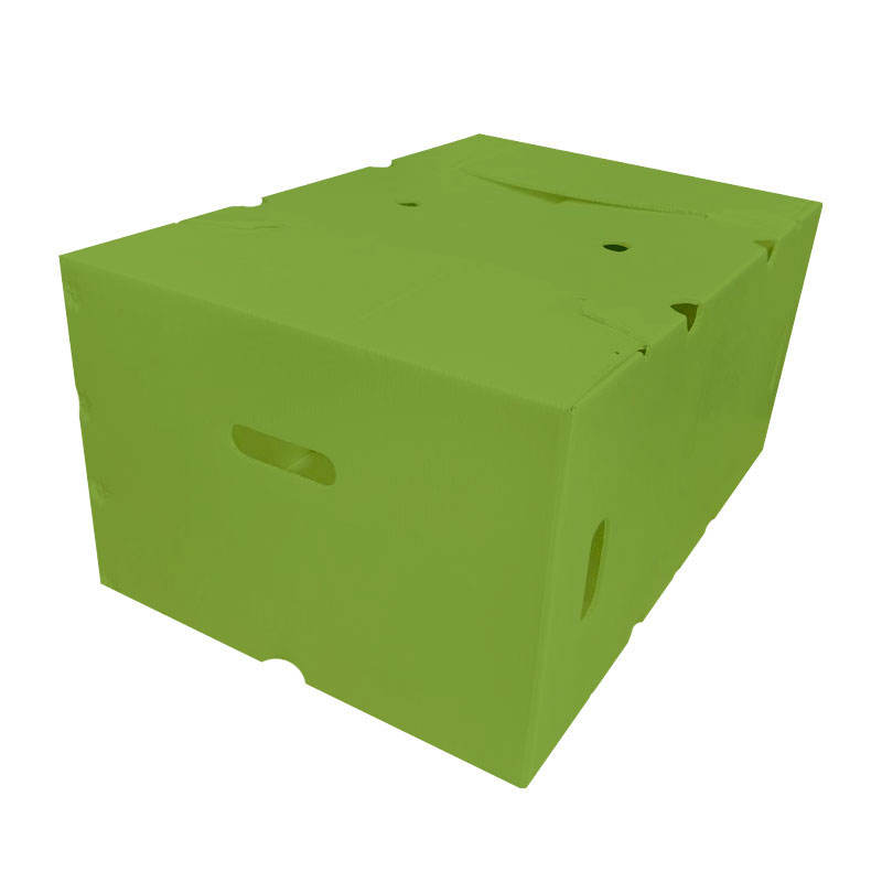 PP Hollow Plastic Box – Custom Logo Vegetable & Fruit Transport Box