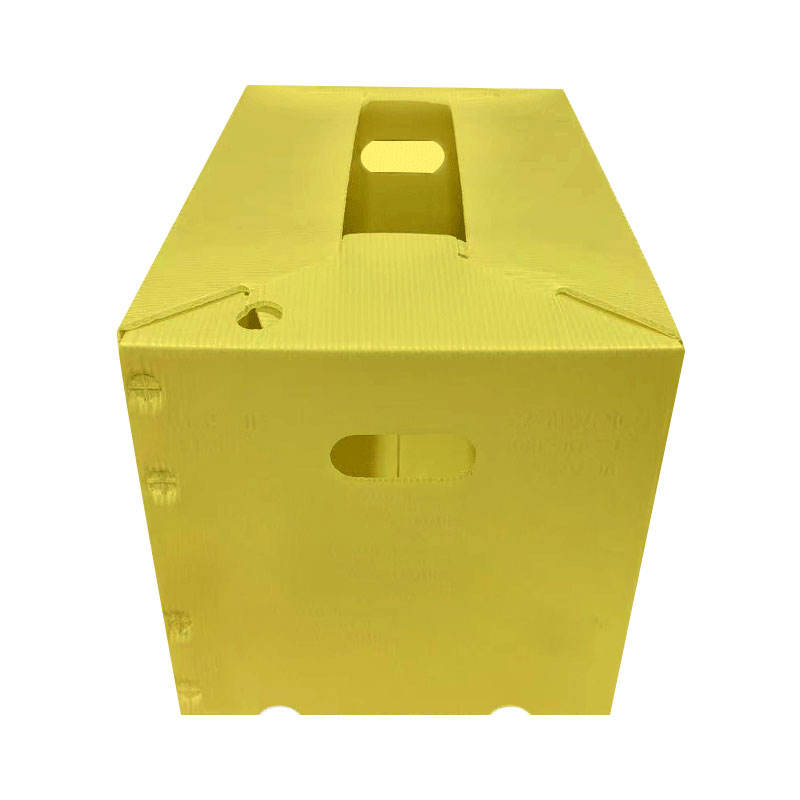 Custom PP Corrugated Folding Bin for Fruit & Vegetable Transport – Waterproof & Durable