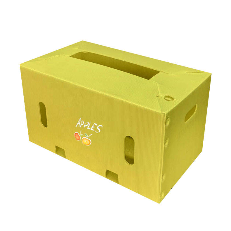 Custom PP Corrugated Folding Bin for Fruit & Vegetable Transport – Waterproof & Durable