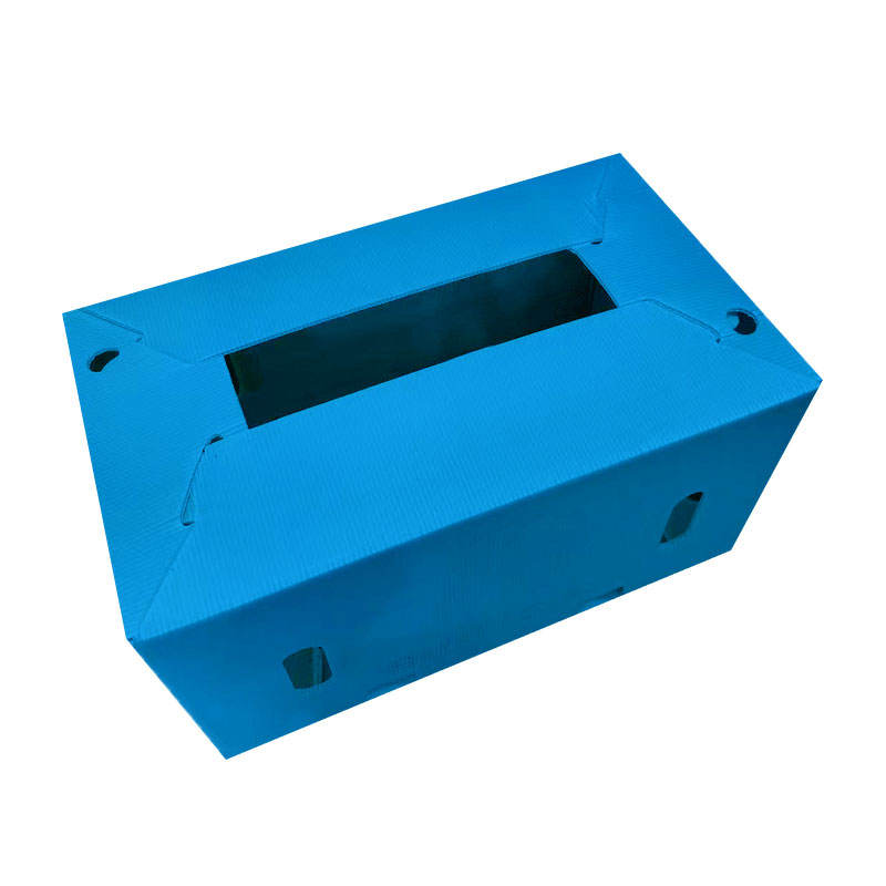Custom PP Plastic Turnover Boxes – Recyclable & ISO9001 Certified