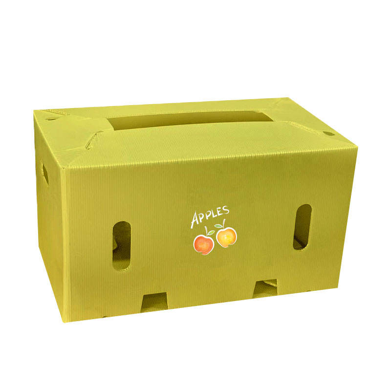 Custom PP Corrugated Folding Bin for Fruit & Vegetable Transport – Waterproof & Durable