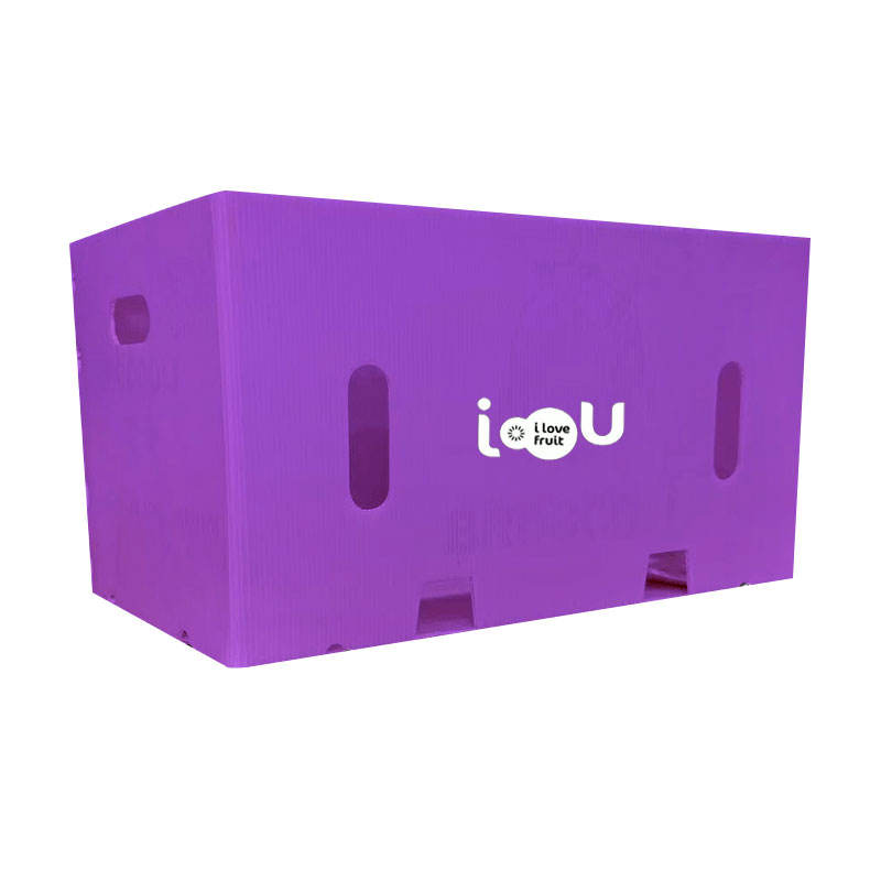 Custom PP Plastic Turnover Boxes – Recyclable & ISO9001 Certified