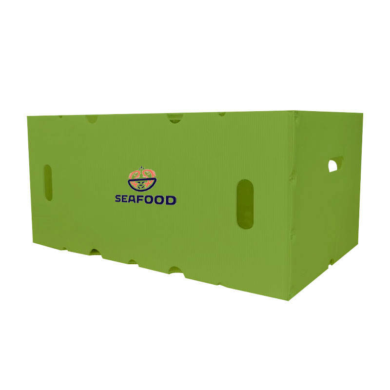 PP Hollow Plastic Box – Custom Logo Vegetable & Fruit Transport Box