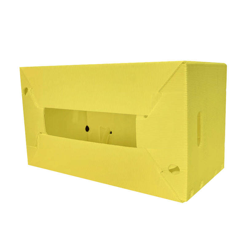 Custom PP Plastic Turnover Boxes – Recyclable & ISO9001 Certified
