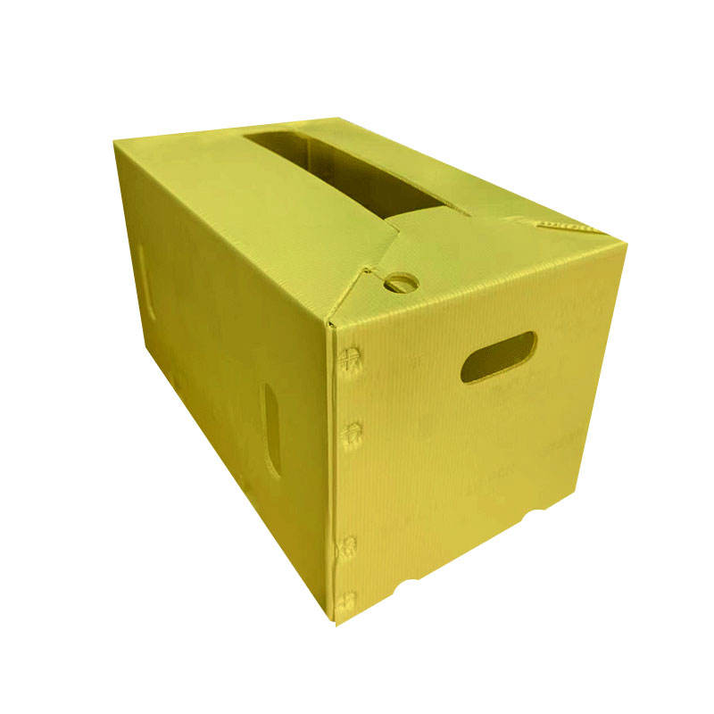 Custom PP Corrugated Folding Bin for Fruit & Vegetable Transport – Waterproof & Durable