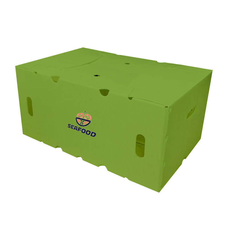 PP Hollow Plastic Box – Custom Logo Vegetable & Fruit Transport Box
