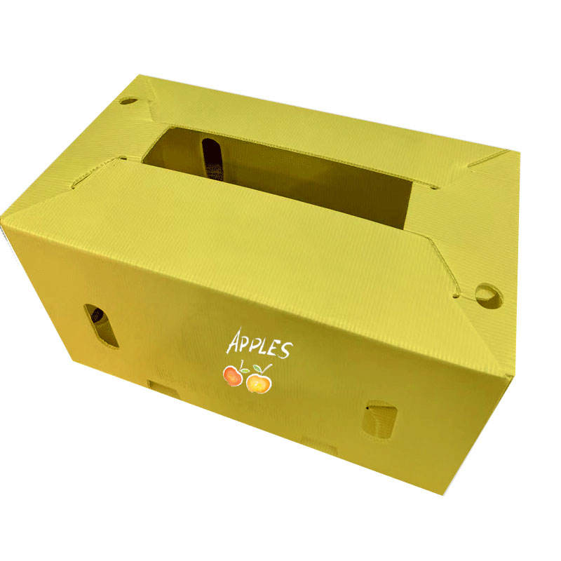 Custom PP Corrugated Folding Bin for Fruit & Vegetable Transport – Waterproof & Durable