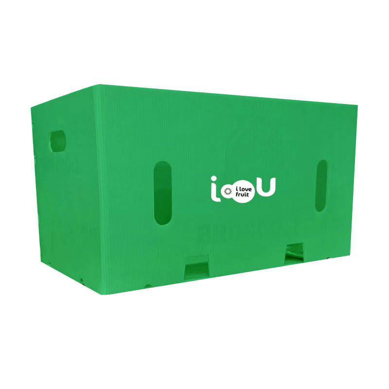 Custom PP Plastic Turnover Boxes – Recyclable & ISO9001 Certified