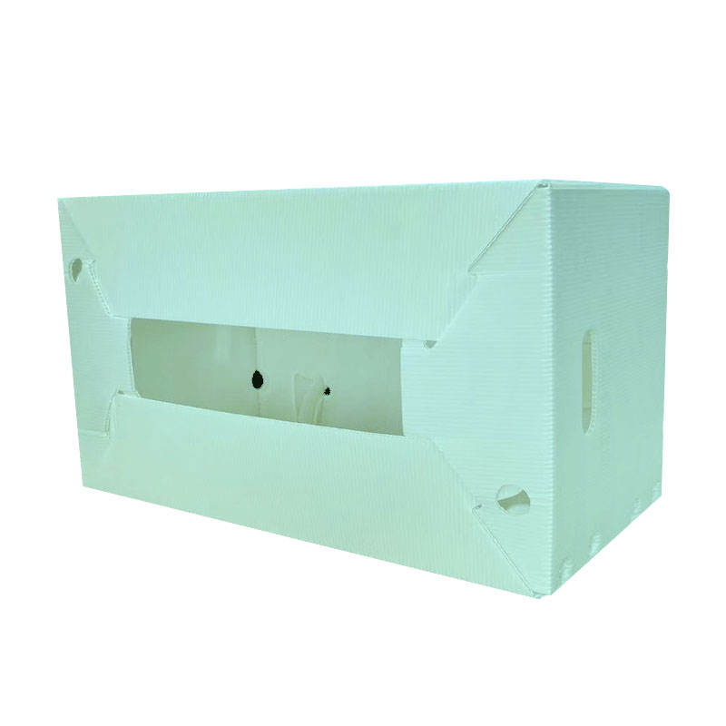 Custom PP Plastic Turnover Boxes – Recyclable & ISO9001 Certified