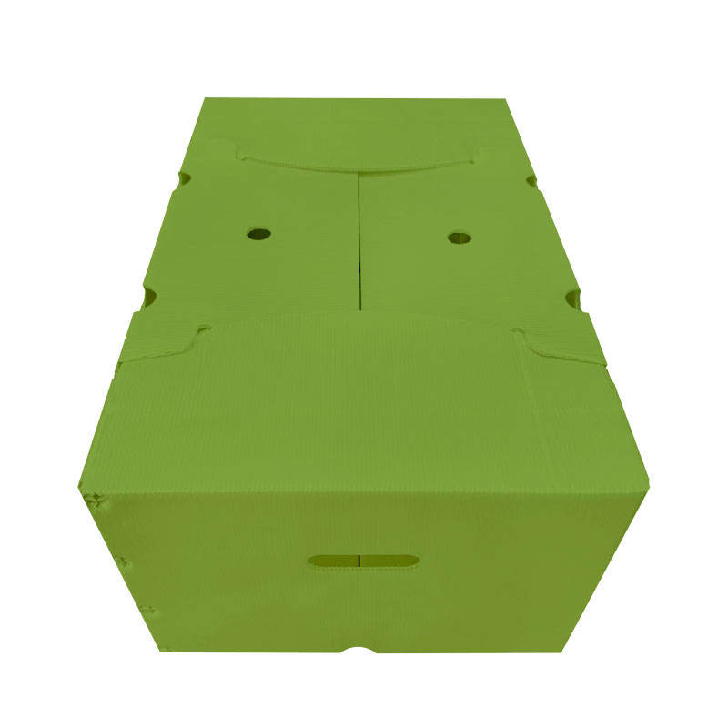 PP Hollow Plastic Box – Custom Logo Vegetable & Fruit Transport Box