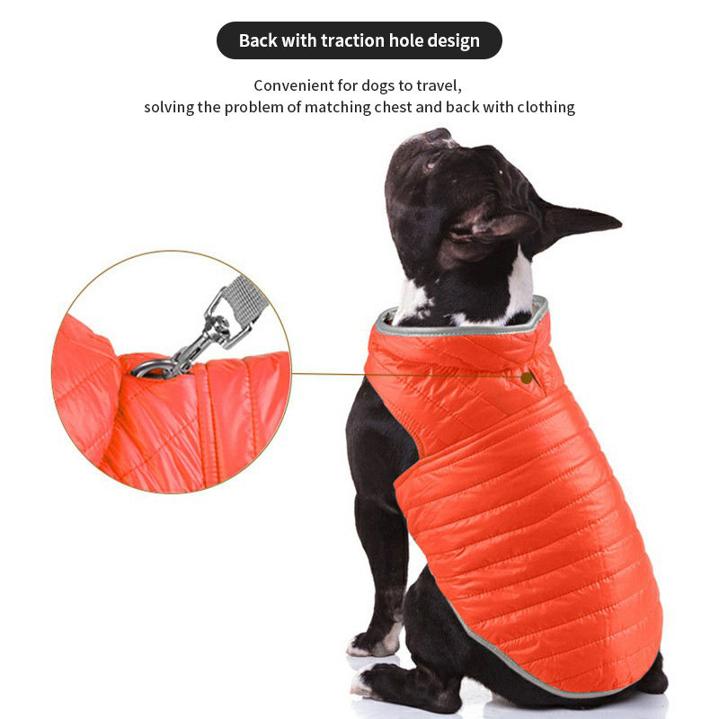 Eco-Friendly Cotton Padded Dog Jacket for Autumn & Winter | Custom OEM