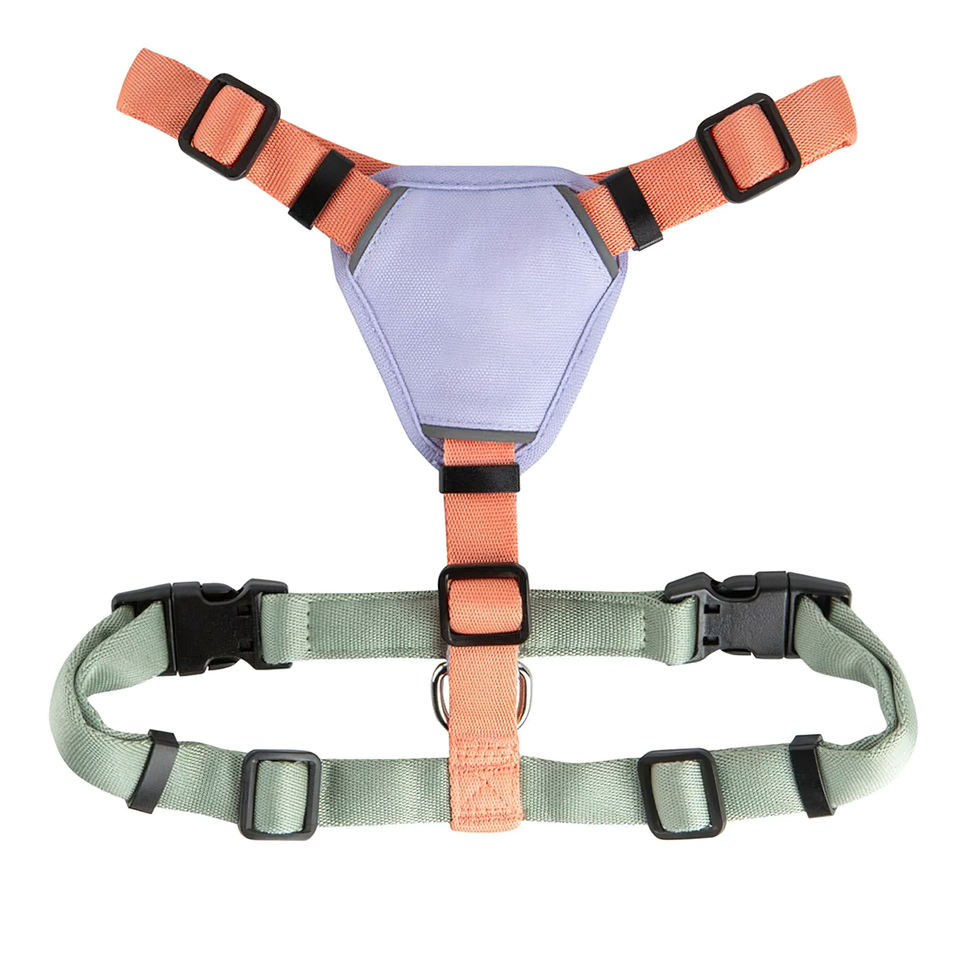 Lightweight Breathable Nylon Dog Harness & Leash Set – Eco-Friendly, Custom Colors, Quick-Release