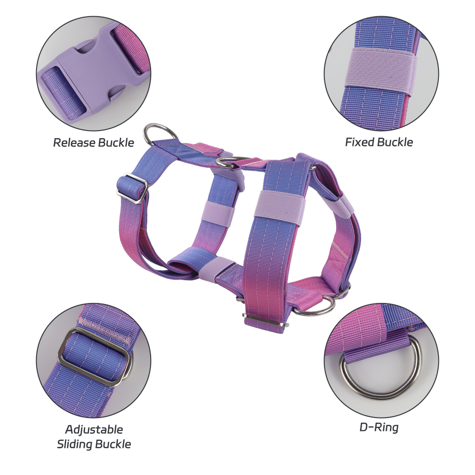 Custom Anti-Pull Dog Y-Shape Harness with Neoprene Padding for Medium & Large Dogs