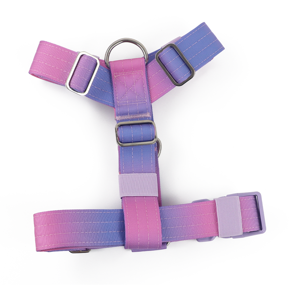 Custom Anti-Pull Dog Y-Shape Harness with Neoprene Padding for Medium & Large Dogs