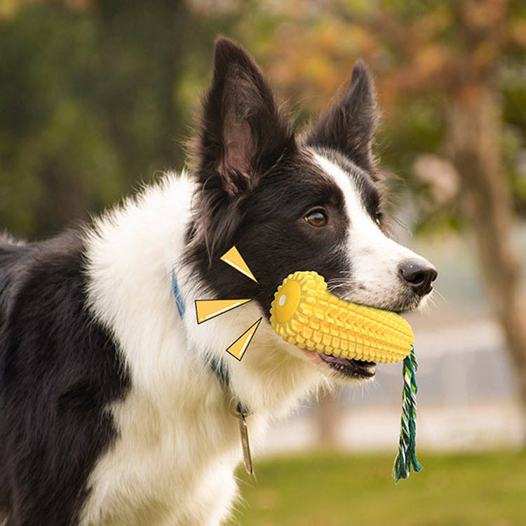 Eco-Friendly TPR Sounding Corn Dog Chew Stick - Bite-Resistant Dog Toy