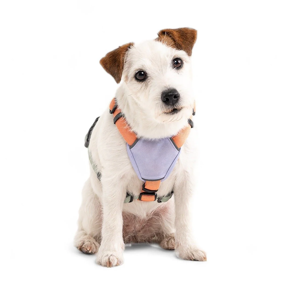 Lightweight Breathable Nylon Dog Harness & Leash Set – Eco-Friendly, Custom Colors, Quick-Release