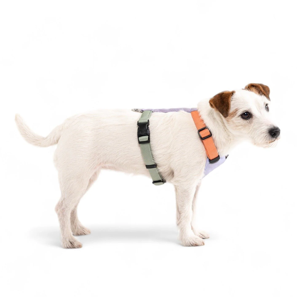 Lightweight Breathable Nylon Dog Harness & Leash Set – Eco-Friendly, Custom Colors, Quick-Release