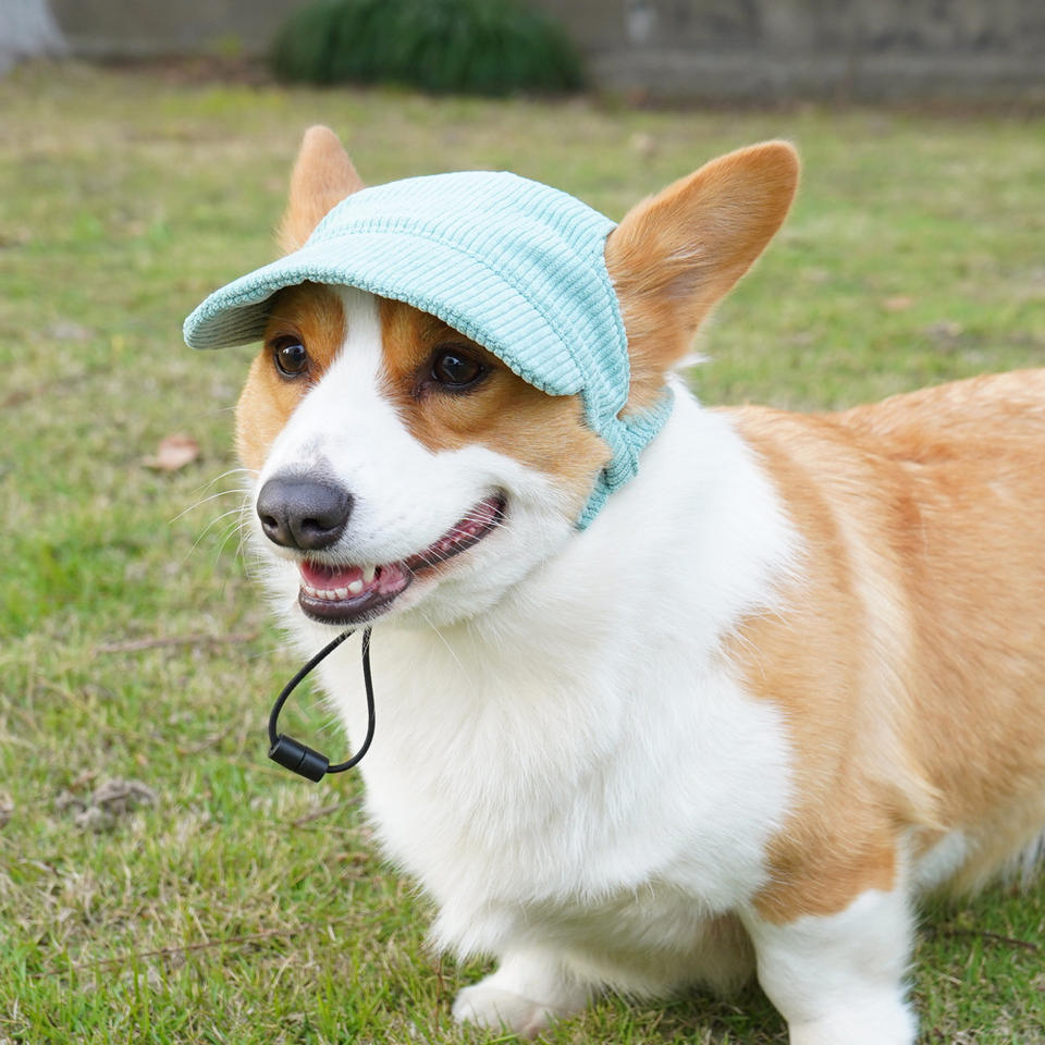 Eco-Friendly Corduroy Pet Sun Hat – Adorable Corgi-Style Baseball Cap for Dogs