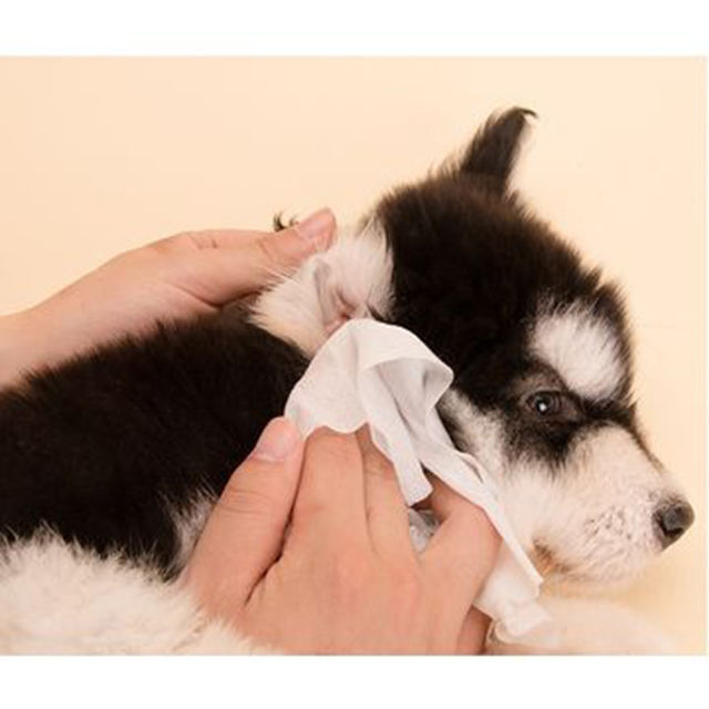 Alcohol-Free Pet Wet Wipes for Dogs & Cats – Soft, Deodorizing & Eco-Friendly