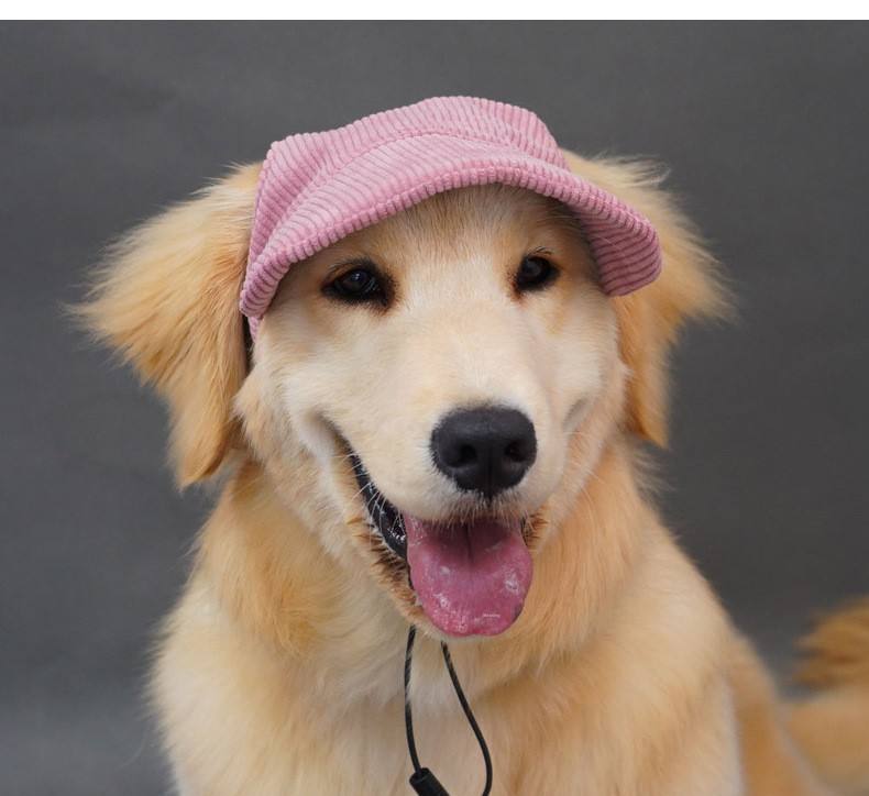 Eco-Friendly Corduroy Pet Sun Hat – Adorable Corgi-Style Baseball Cap for Dogs