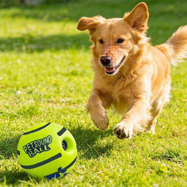 Durable PVC Pet Ball Teething Toy – Self-Amusing Squeaky Duck for Outdoor Play