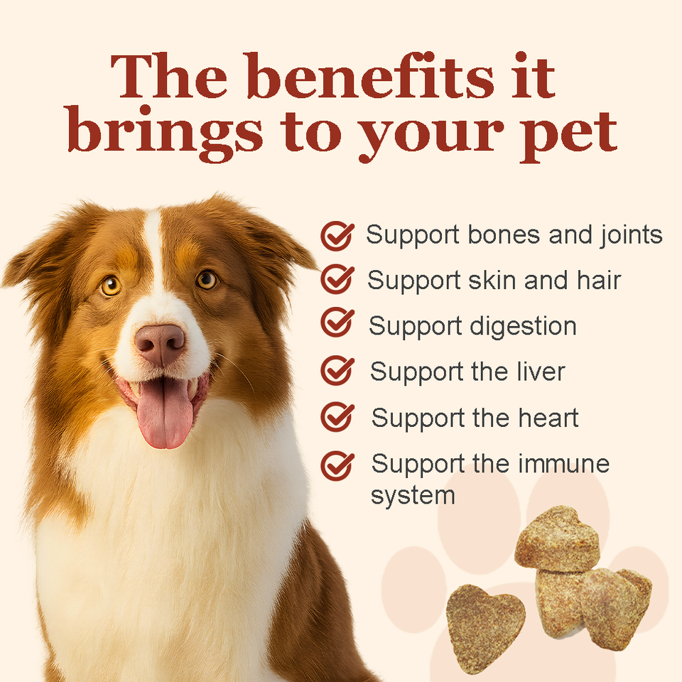 Premium Dog Joint Support Soft Chews – Hip & Joint Health, Growth Promotion, OEM Available
