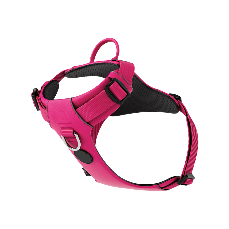 Breathable Padded Dog Harness with Emergency Handle and D-Ring Support for Training and Walking