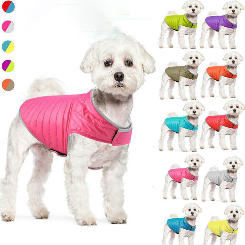 Eco-Friendly Cotton Padded Dog Jacket for Autumn & Winter | Custom OEM