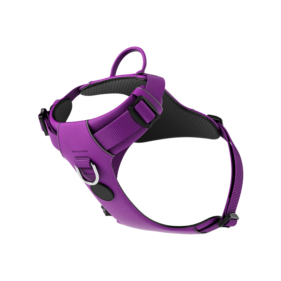 Breathable Padded Dog Harness with Emergency Handle and D-Ring Support for Training and Walking
