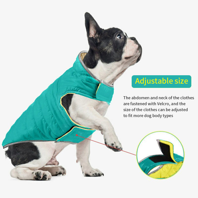 Eco-Friendly Cotton Padded Dog Jacket for Autumn & Winter | Custom OEM