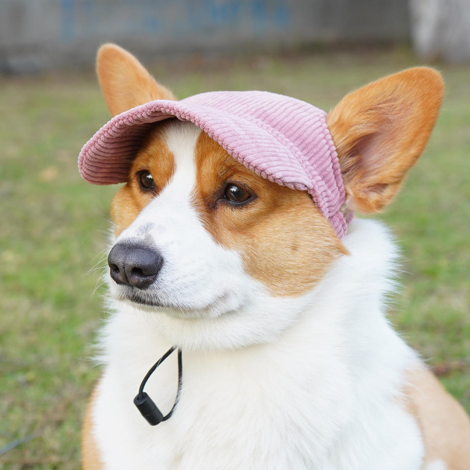 Eco-Friendly Corduroy Pet Sun Hat – Adorable Corgi-Style Baseball Cap for Dogs