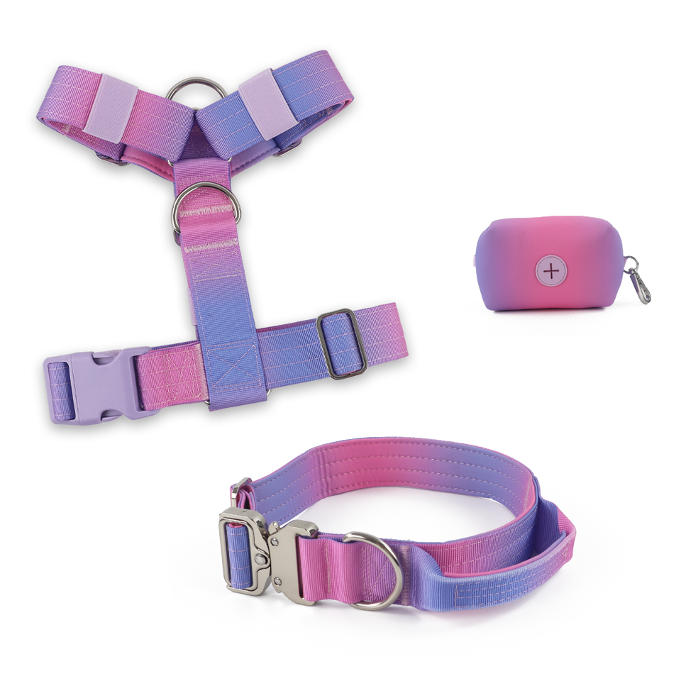 Custom Anti-Pull Dog Y-Shape Harness with Neoprene Padding for Medium & Large Dogs
