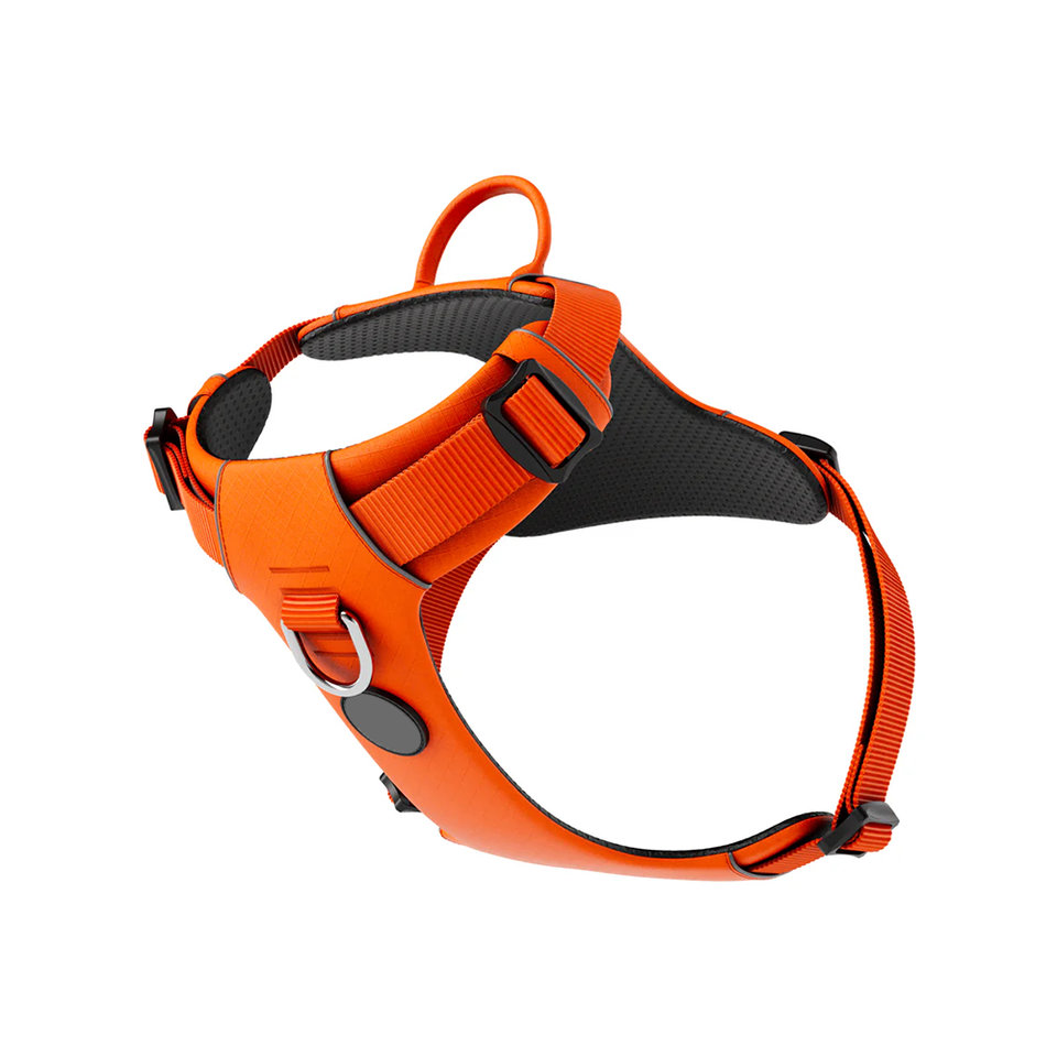 Breathable Padded Dog Harness with Emergency Handle and D-Ring Support for Training and Walking