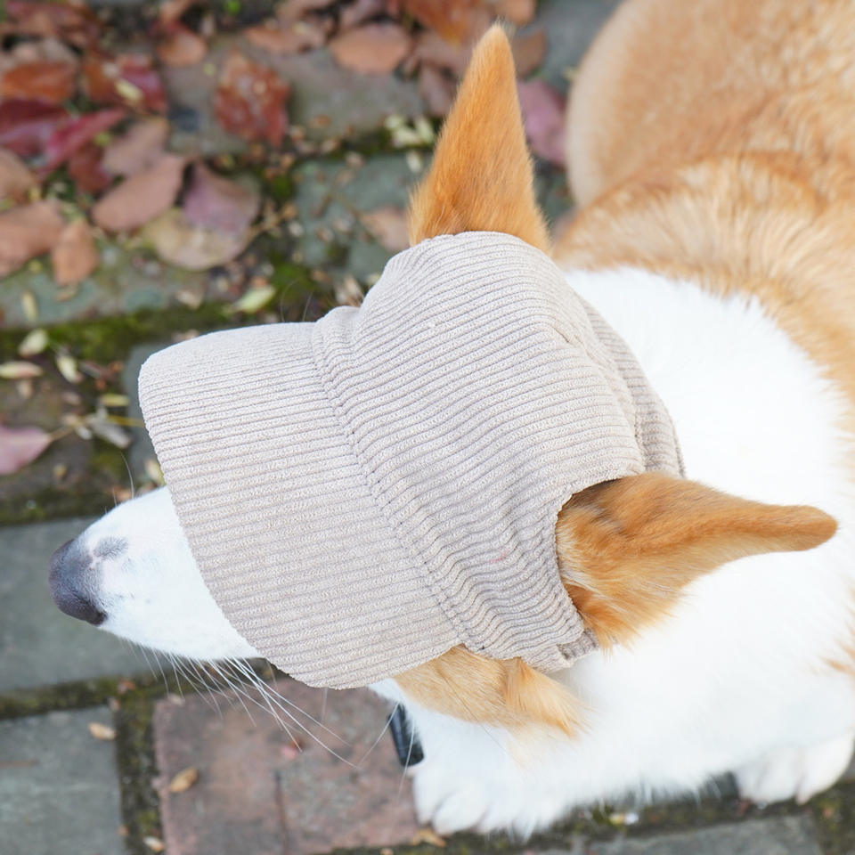 Eco-Friendly Corduroy Pet Sun Hat – Adorable Corgi-Style Baseball Cap for Dogs
