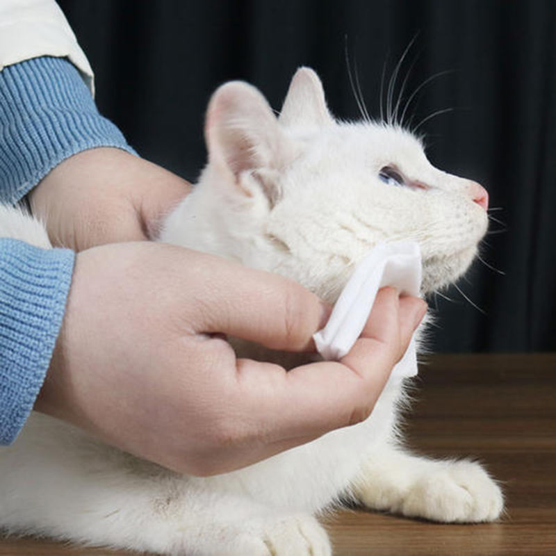 Alcohol-Free Pet Wet Wipes for Dogs & Cats – Soft, Deodorizing & Eco-Friendly