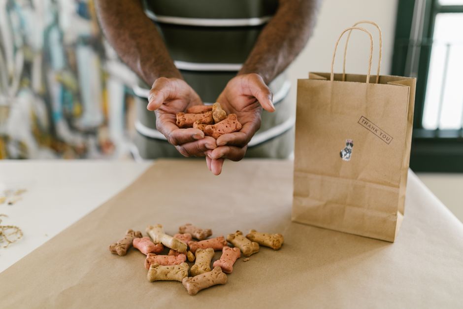 Introduction to Natural Pet Products in the B2B Market