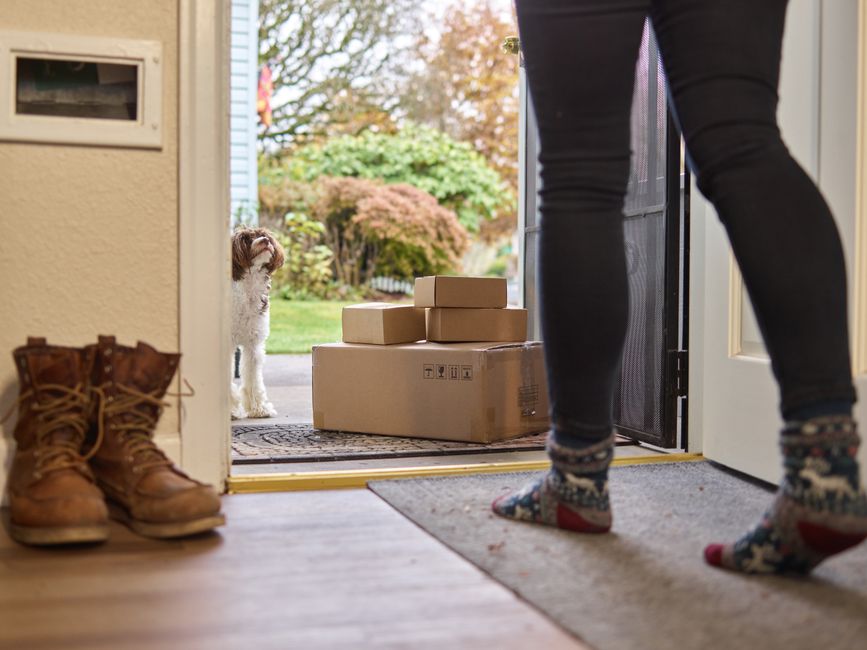 Pet Supply Subscription Boxes: A B2B Opportunity?