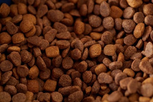 Top Pet Supply Brands for B2B Distribution Review