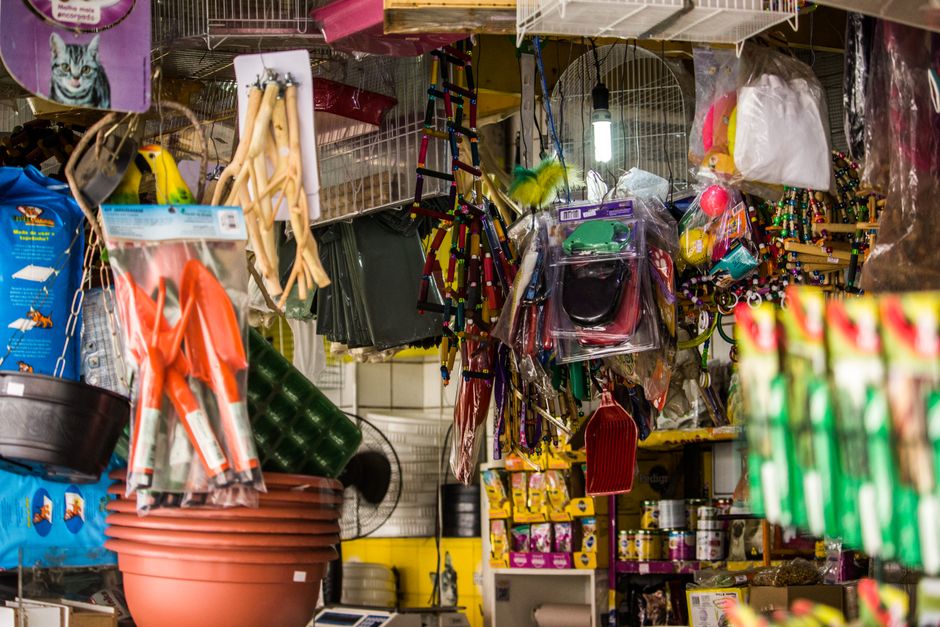 Top Pet Supply Brands for B2B Distribution: A Review