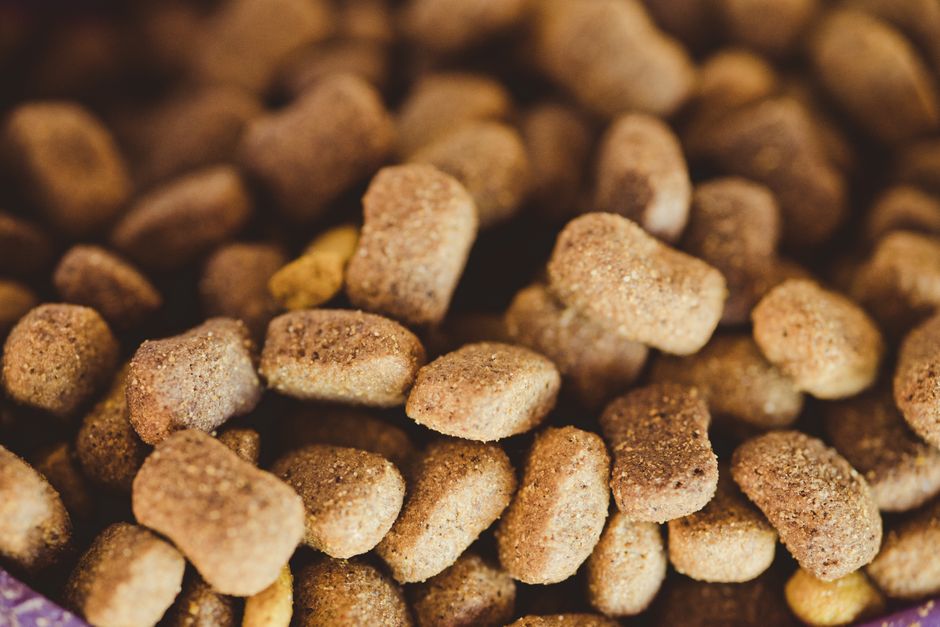 1. High-Protein Insect-Based Formulas