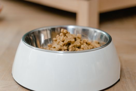 Pet Product Recalls: B2B Buyer's Guide to Stay Safe