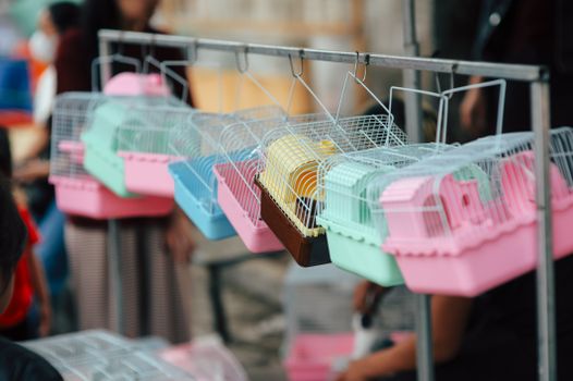 Wholesale Pricing Trends in Pet Supplies for 2024
