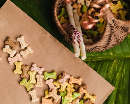 Sustainable Pet Products: A Must-Read for B2B Buyers