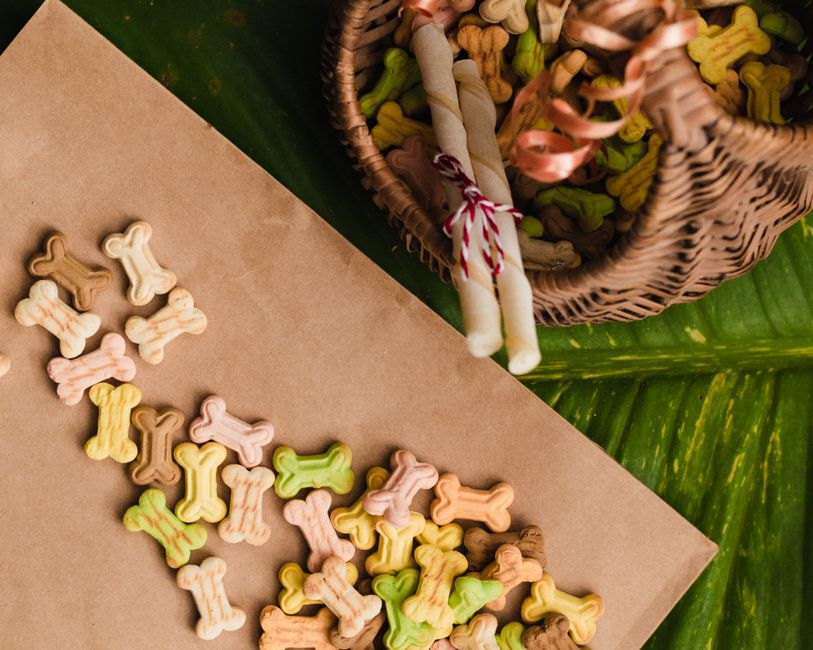 1. Why Sustainable Pet Products Matter for Your Business